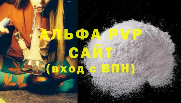 ECSTASY Богданович